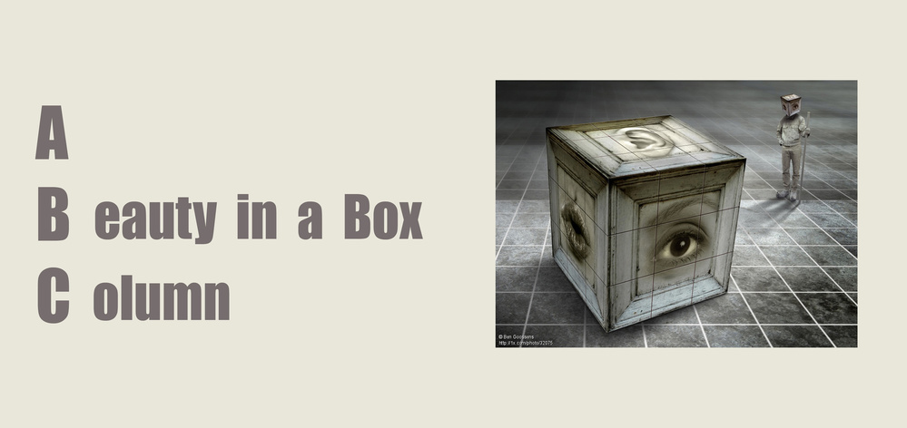 Announcing our new "Beauty in a Box" column