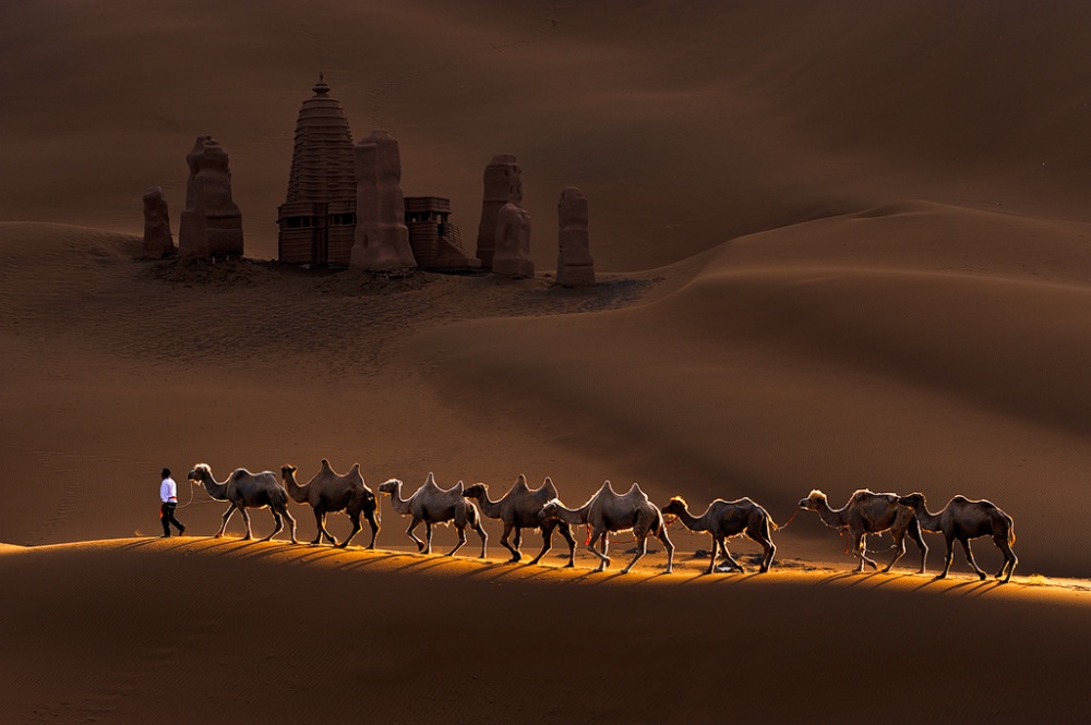 Castle and Camels