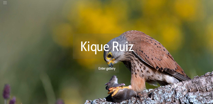 New 1x Portfolio by Kique Ruiz