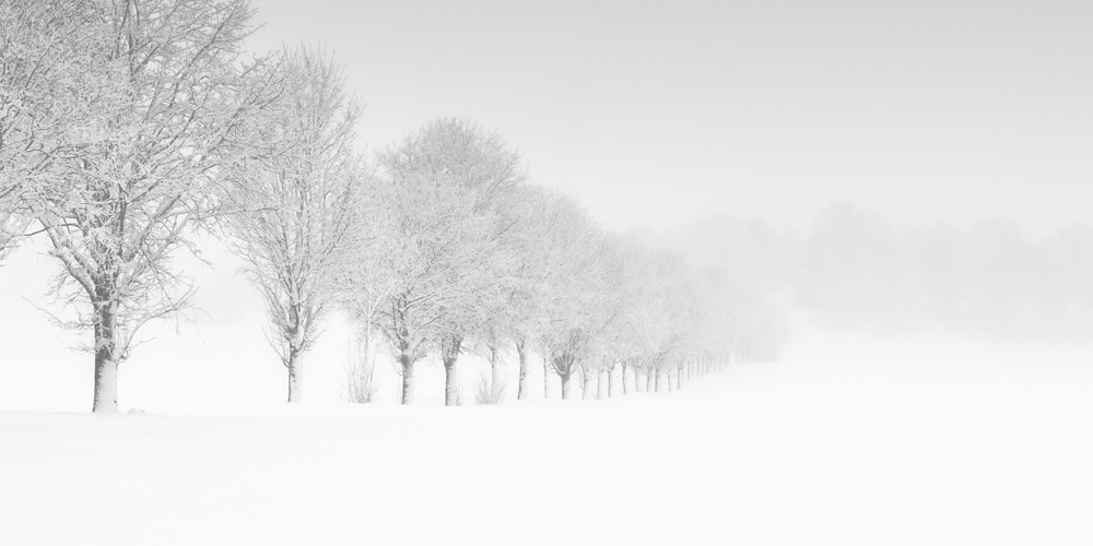 Landscapes Square B&W