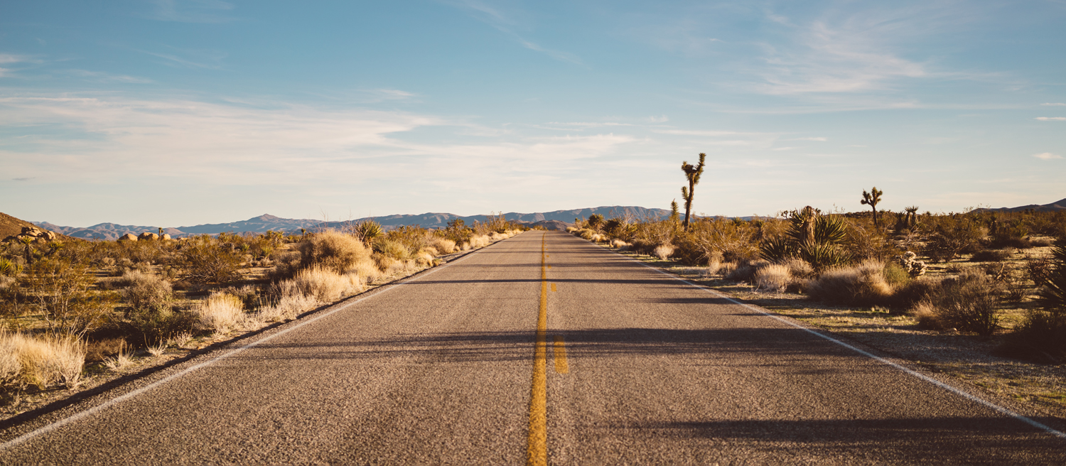 Modern Western & Americana