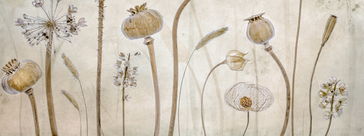 Wall Mural Bestsellers