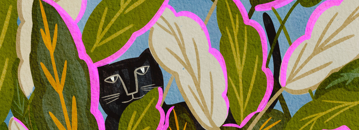 Evergreen: Tropical Animals