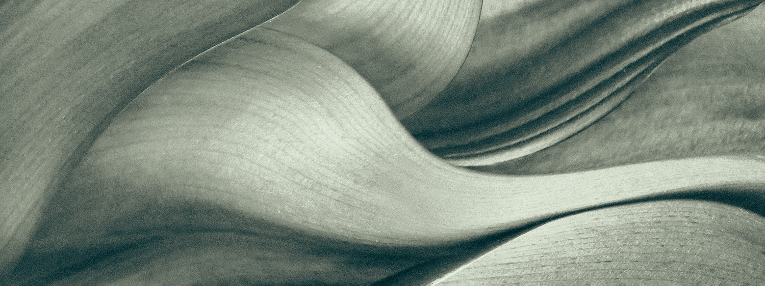 Print News July 2023