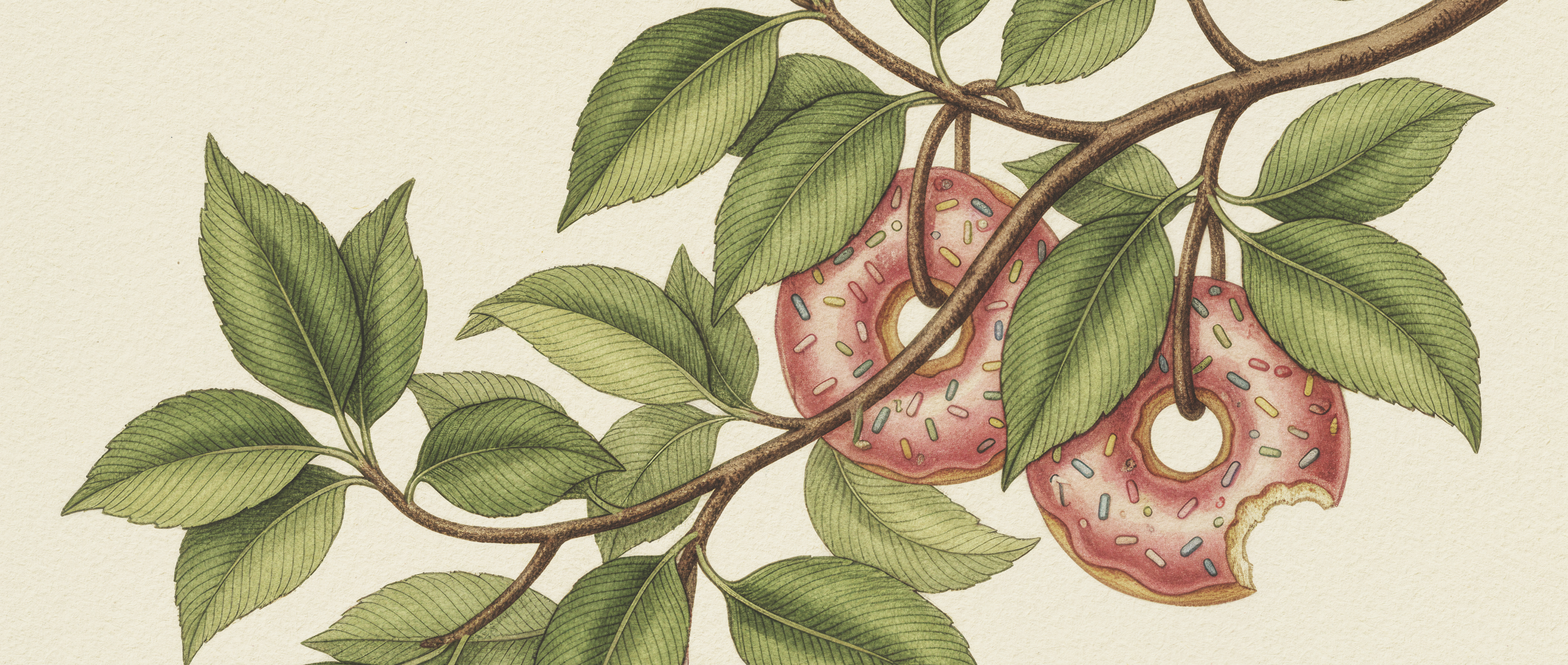 Evergreen: Bakery & Hot Beverages