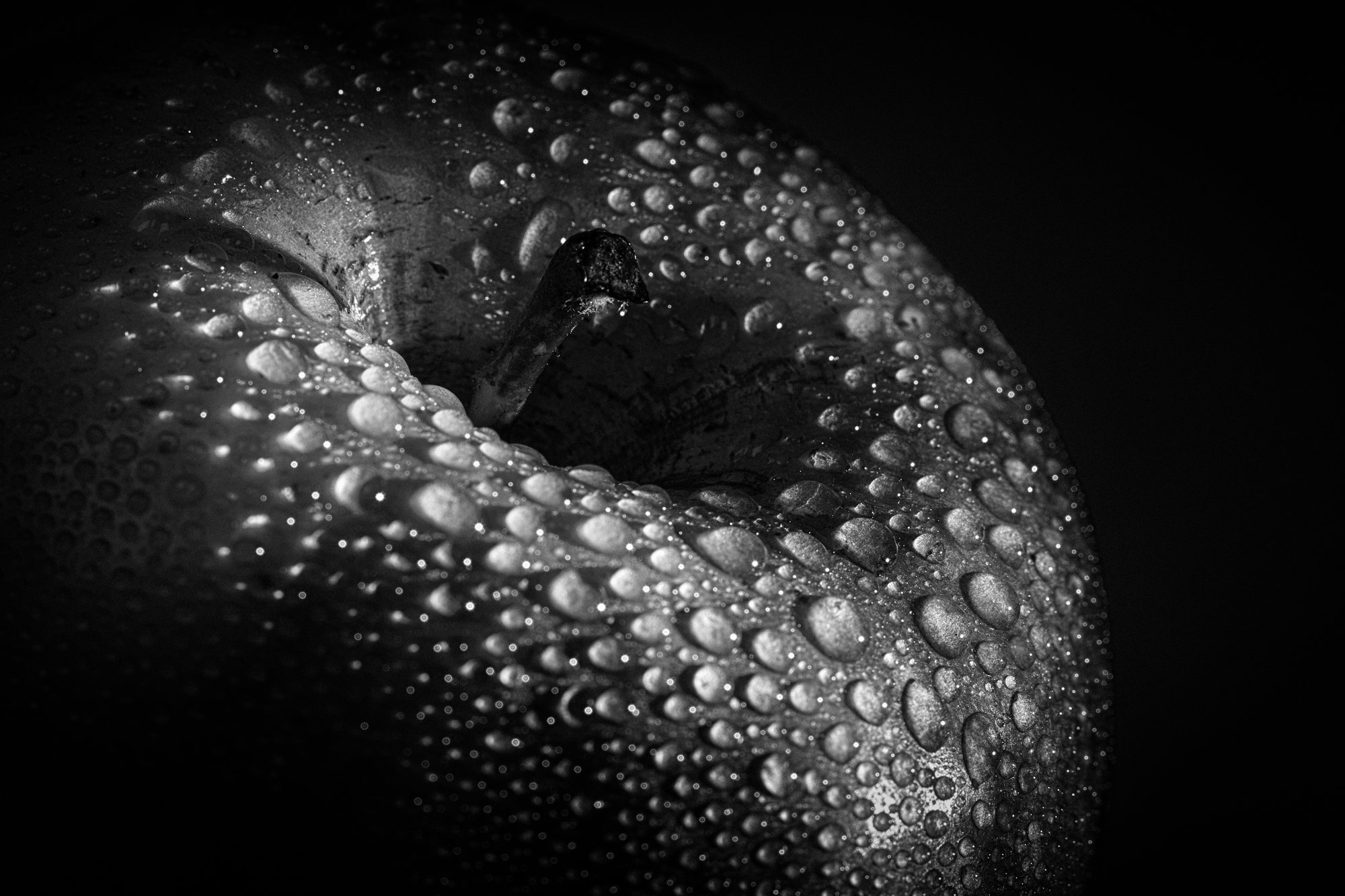 Kitchen, Bar, Food & Drinks