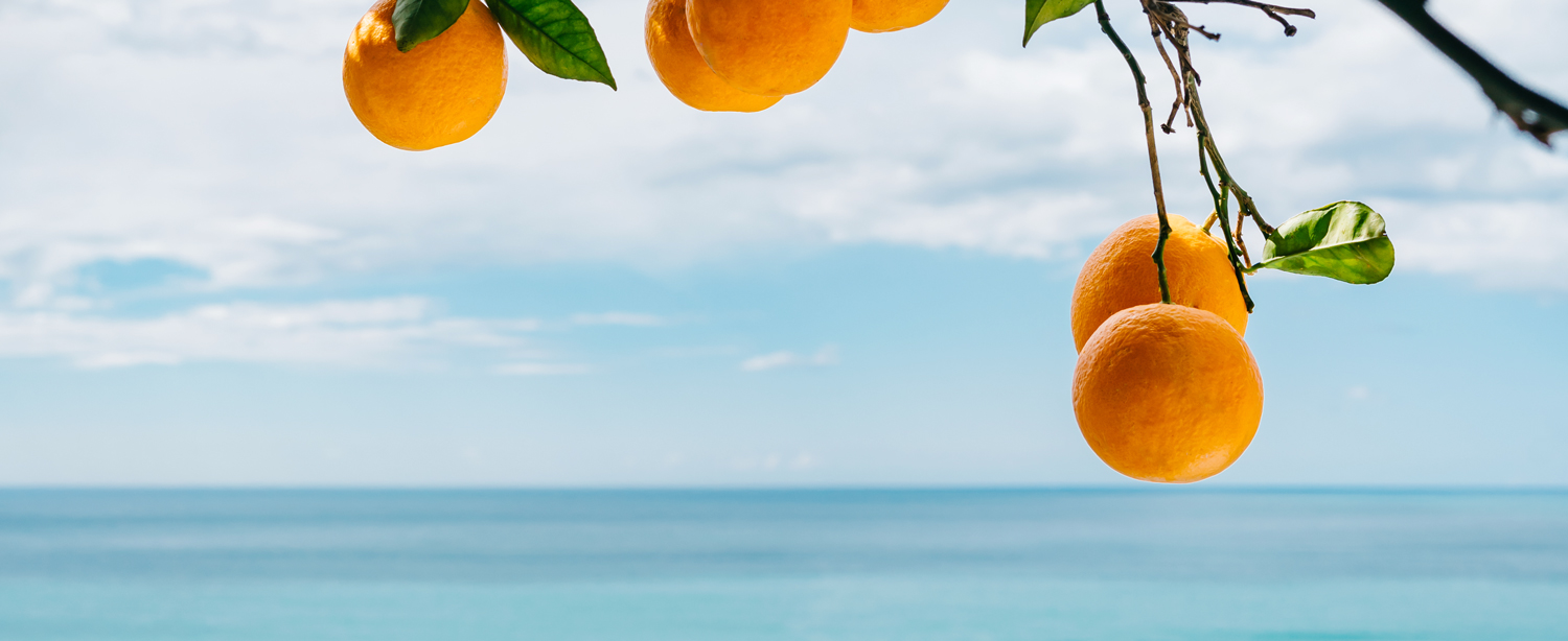 Mediterranean Summer