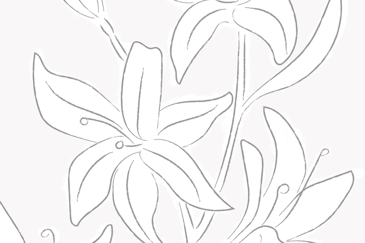 Botanical Illustrated