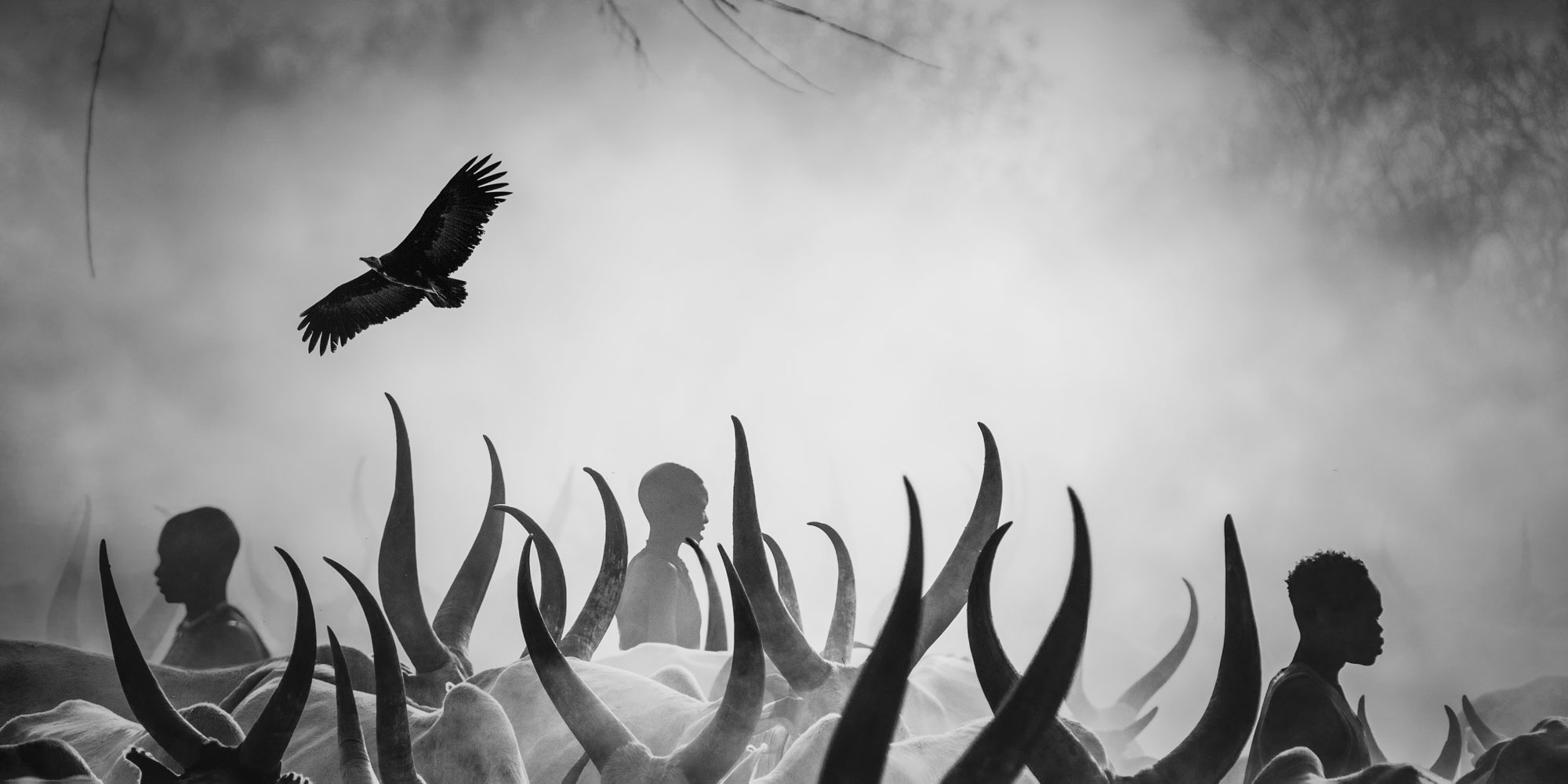 Cultural, Documentary & Tribal Portraits