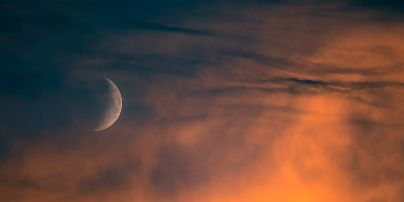 Print News November 2022