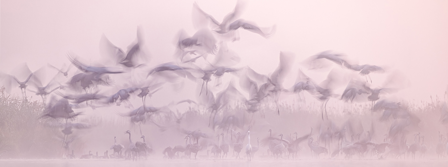 Print News December - 2023