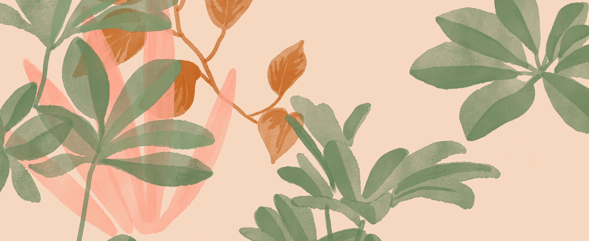 Pantone Color of 2024: Peach Fuzz