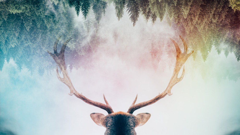 All Time Photo Bestsellers