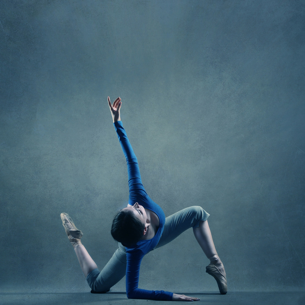 Graceful Ballet Pose by Moein Hasheminasab — canvas wall art