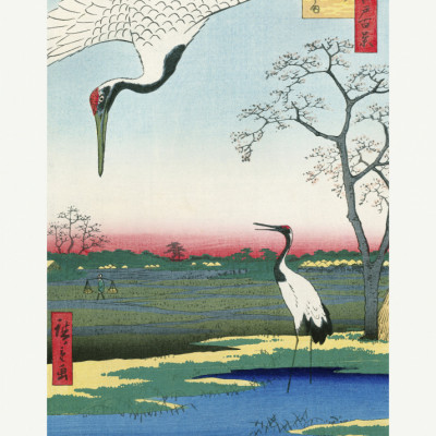 Minowa, Kanasugi, and Mikawashima