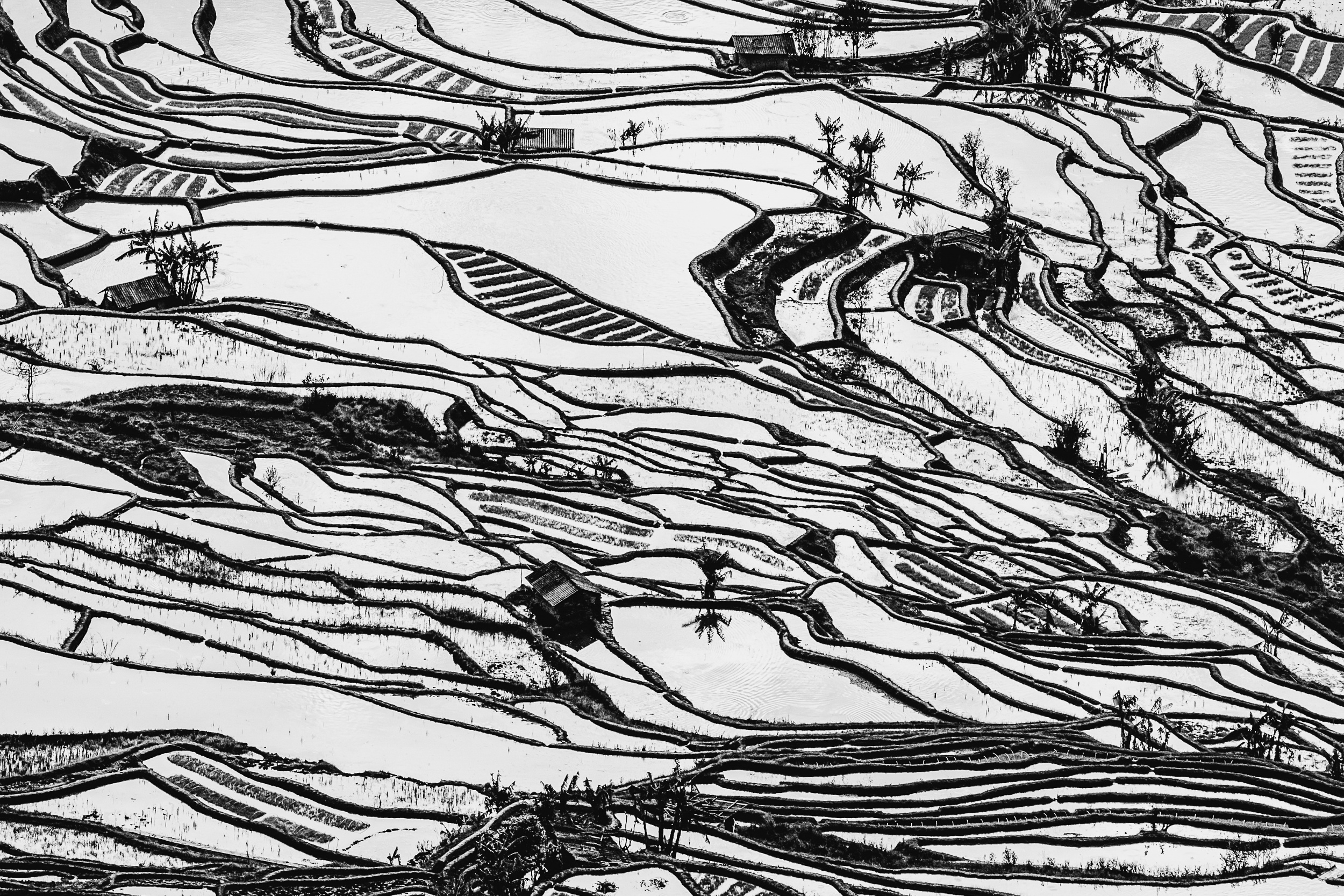 abstract3