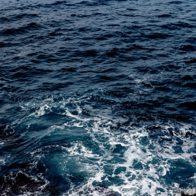 Deep Blue Sea 018a9941