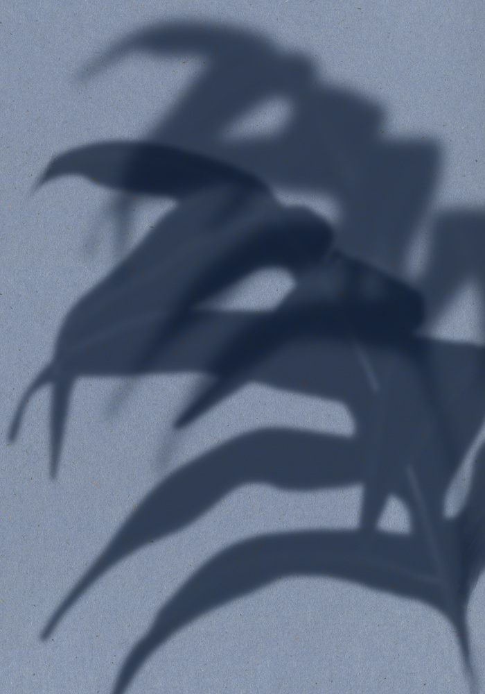 Tropical Leaf Shadows by THE MIUUS STUDIO — canvas wall art