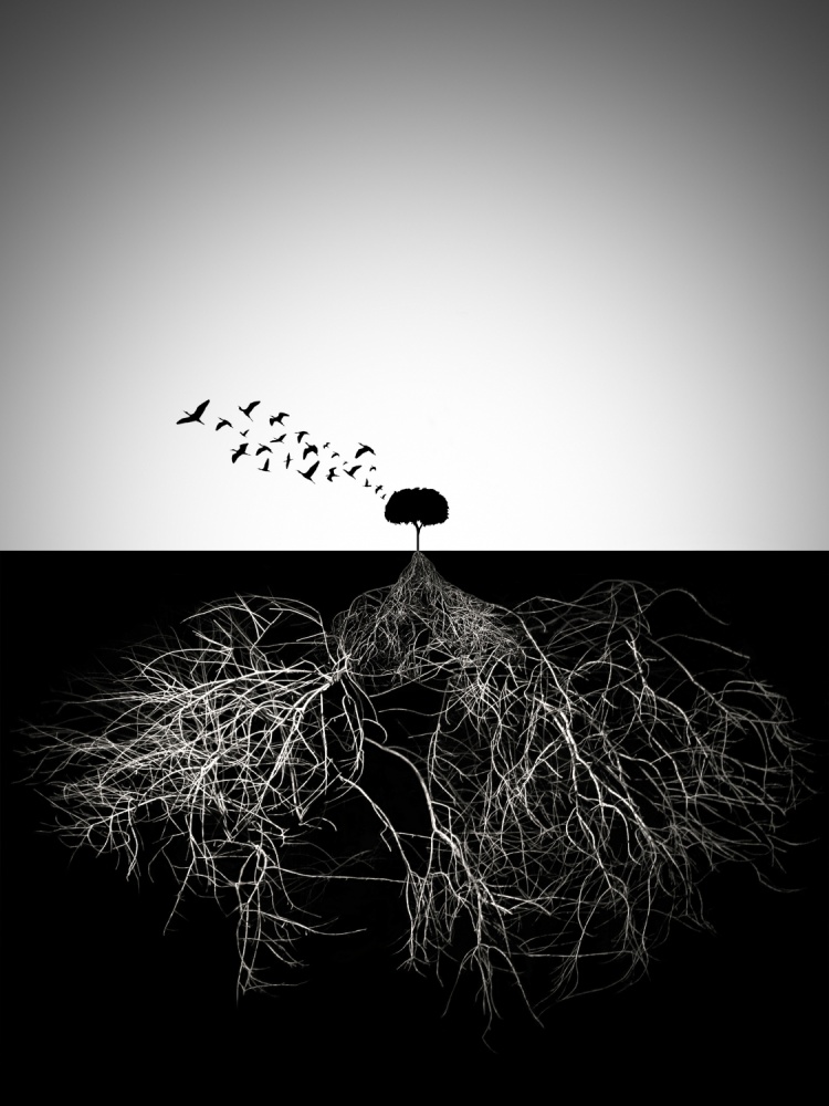 Tree Roots and Flight by Souren  Arslanian — canvas wall art