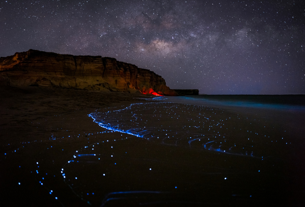Bioluminescent Night Beach by Khalid Jamal — canvas wall art