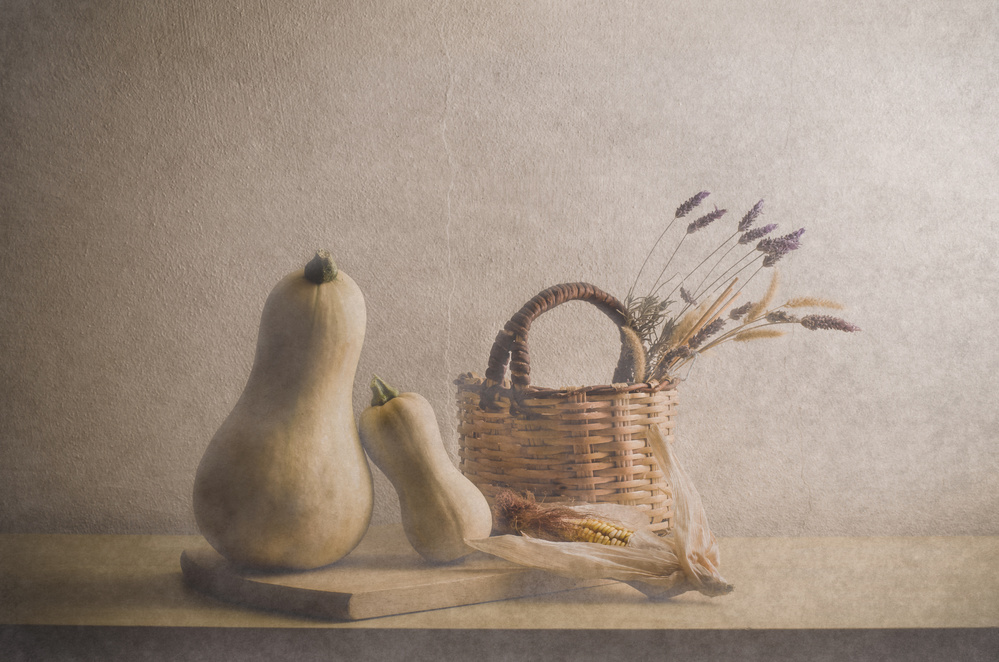 Rustic Butternut Harvest by Piera Polo — canvas wall art