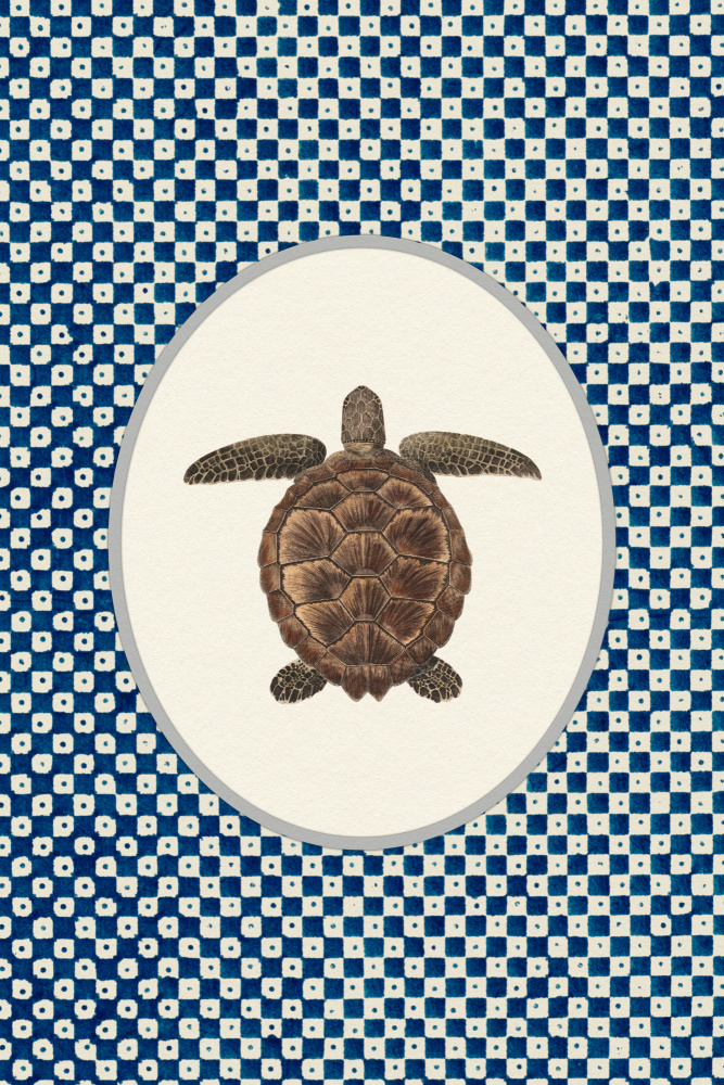 Shibori Sea Turtle by Wild Violets — canvas wall art