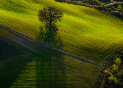 The Long Shadow by Alex Rimsky