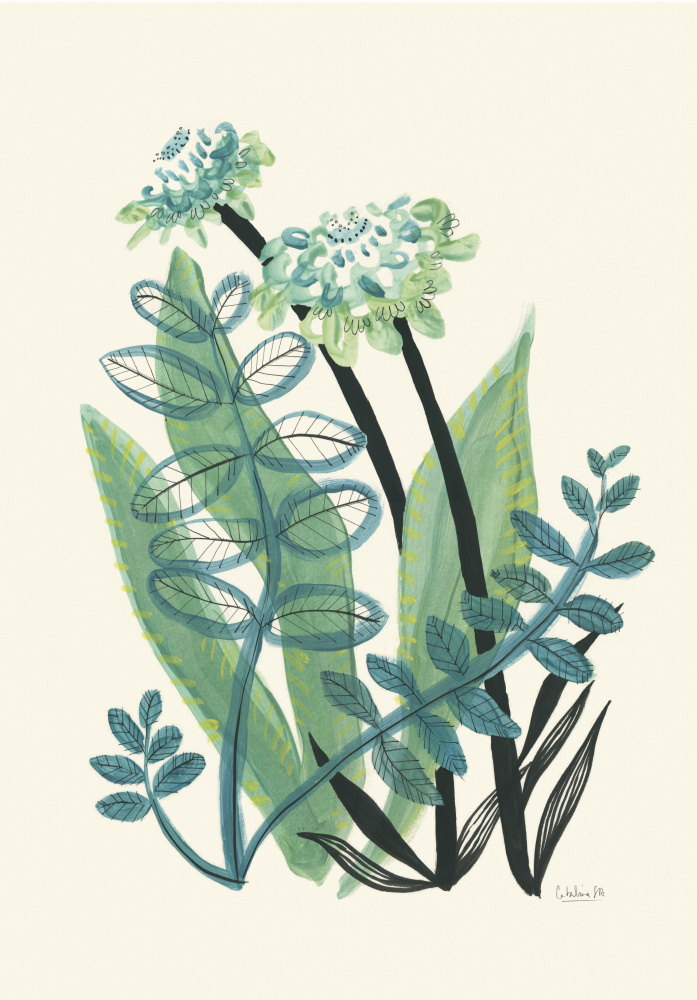 Lush Green Botanicals by Catalina Somolinos — canvas wall art