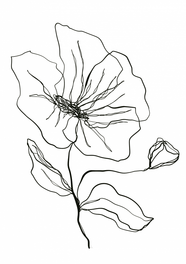 Delicate Flower Sketch by Ankie Kooi — canvas wall art