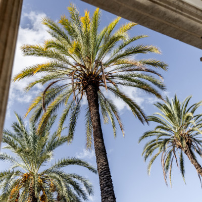 Sicilian Memories 9 018a9826