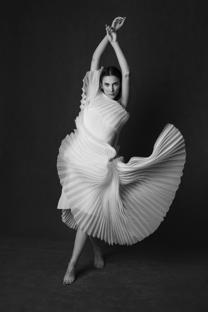 Elegant Dancing Woman by Peyman Naderi — canvas wall art