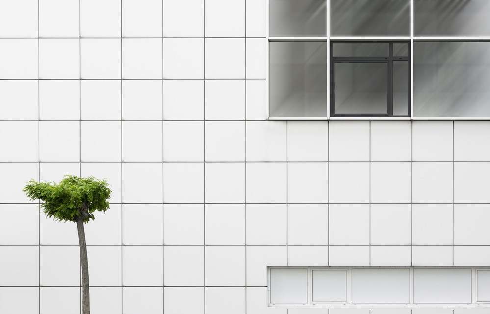 Green Tree Modern Architecture by Greetje van Son — canvas wall art