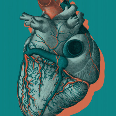 It Is Called a Heart