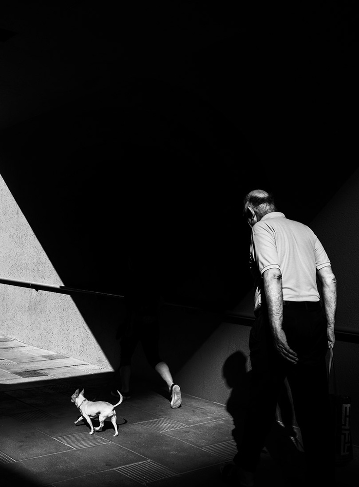 Man Dog Shadow Walk by Tina Kim — canvas wall art
