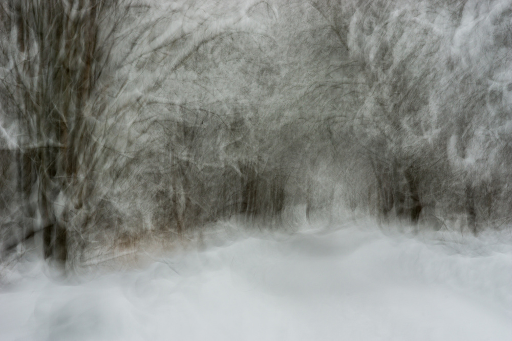 Dreamy Snowy Path by Arne Östlund — canvas wall art
