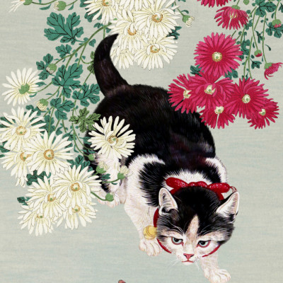 A Cat's Hunt for Butterflies