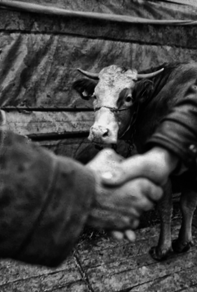 Farm Deal Handshake by ihyabozkurt — canvas wall art