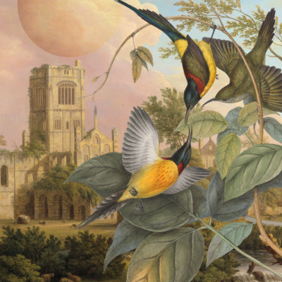 Exotic Birds Pastel Moon
