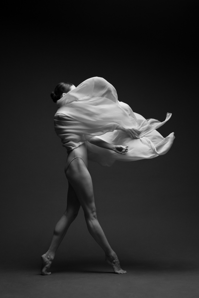 Graceful Fabric Dance by Natalya Sleta — canvas wall art