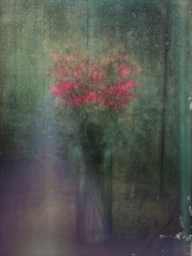 Rainy Window Flowers by Katarina Holmström — canvas wall art