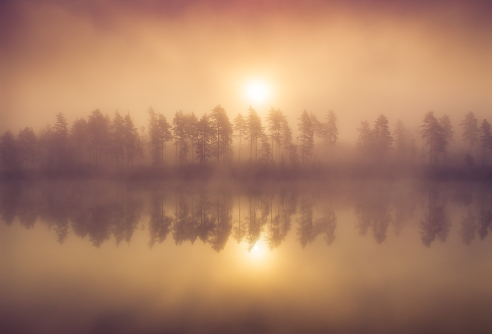 Golden Lake Reflection by Andreas Christensen — canvas wall art