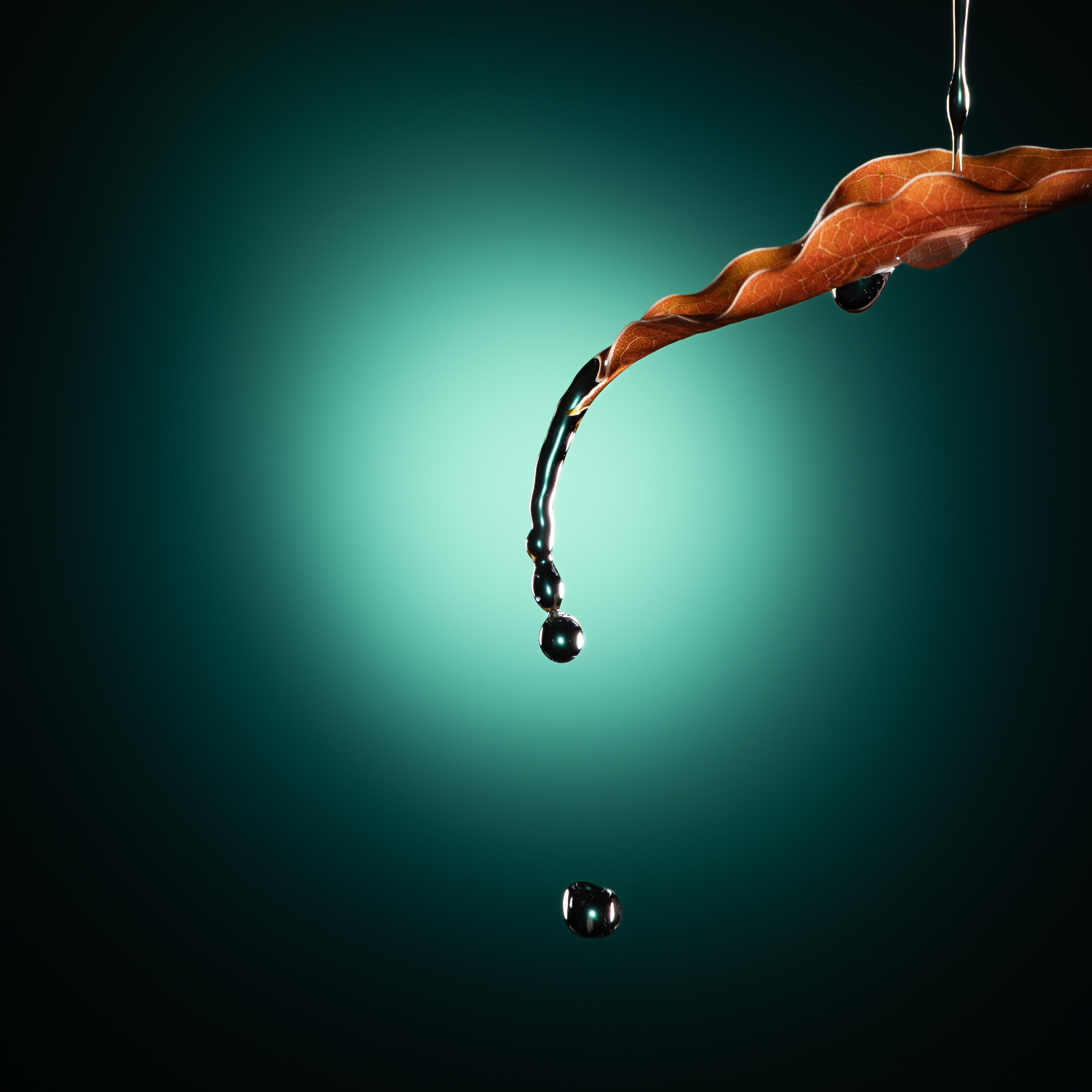 Water drops falling from an orange leaf 3