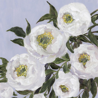Evadne peonies in lilac