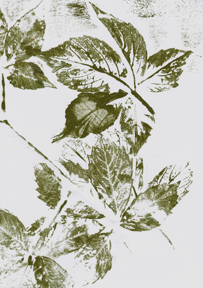 Green Leaf Prints by Maira Ribena — canvas wall art