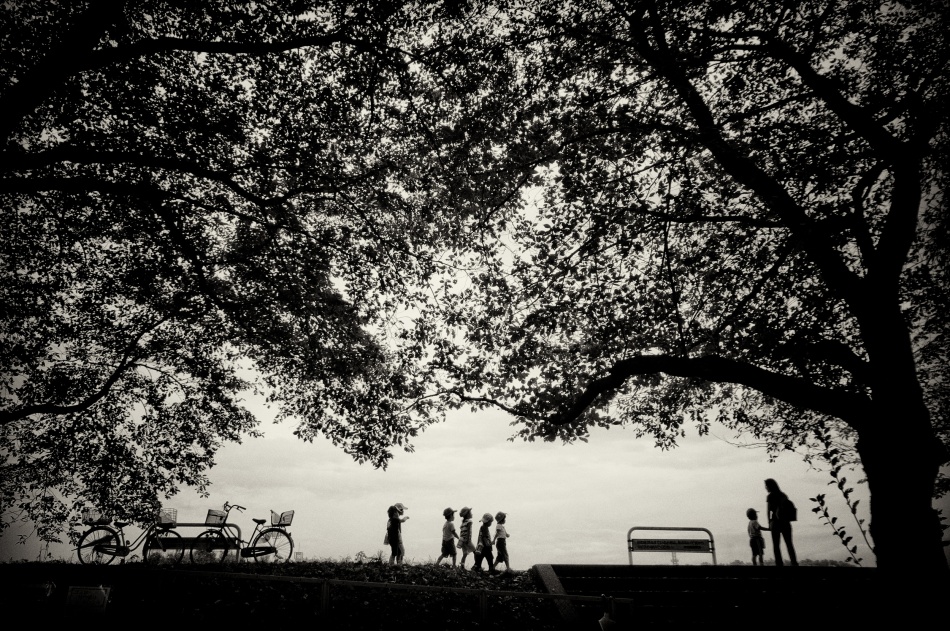 Peaceful Park Silhouettes by Kouji Tomihisa — canvas wall art