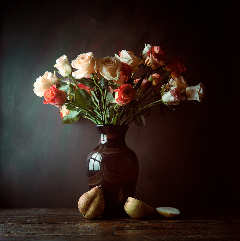 Moody Roses and Pears by Luiz Laercio — canvas wall art