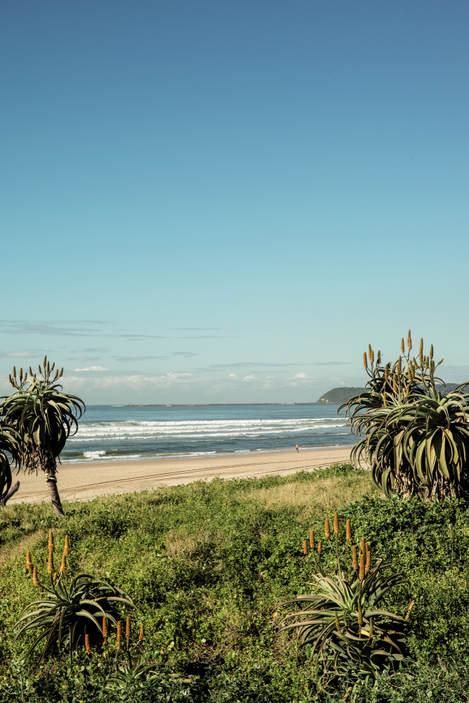 Bloom Tide by Shot by Clint — canvas wall art
