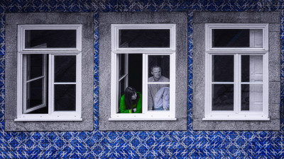 Windows by Molly Fu