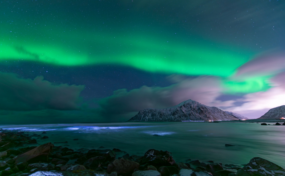 Northern Lights Bioluminescent Sea by Andrea Auf dem Brinke — canvas wall art