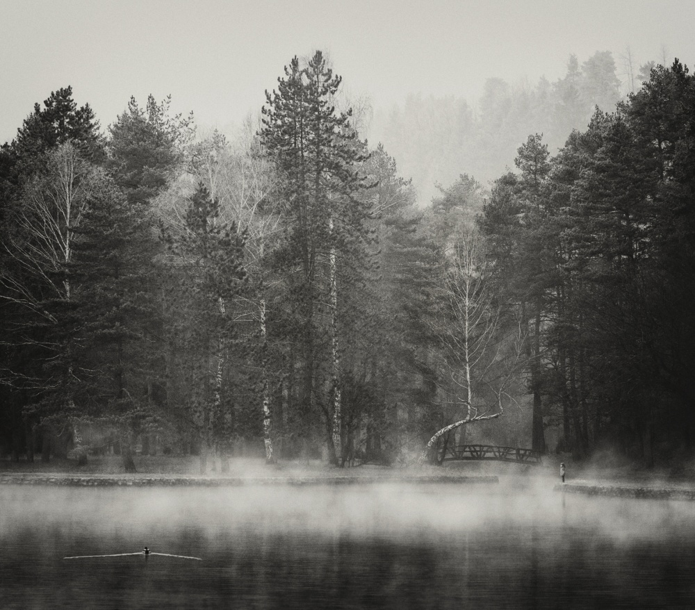 Misty Lake Forest Solitude by Samir Pajic — canvas wall art